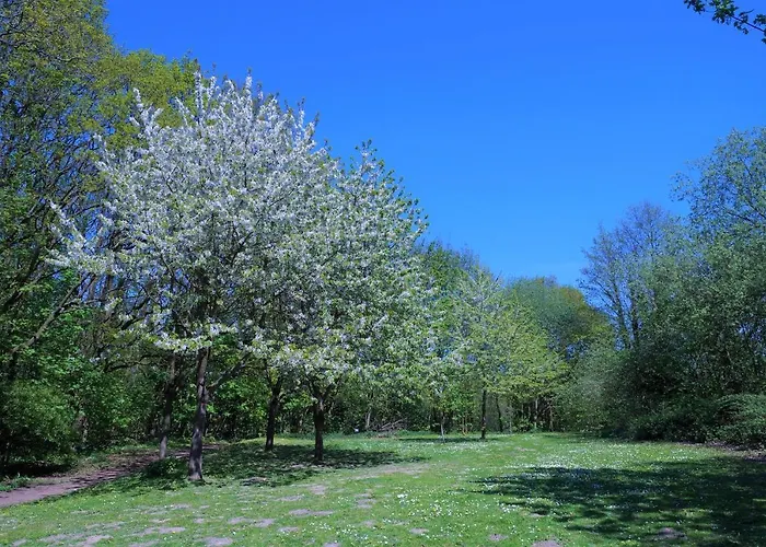 Panoramic App A10-5 Appartement Sierksdorf